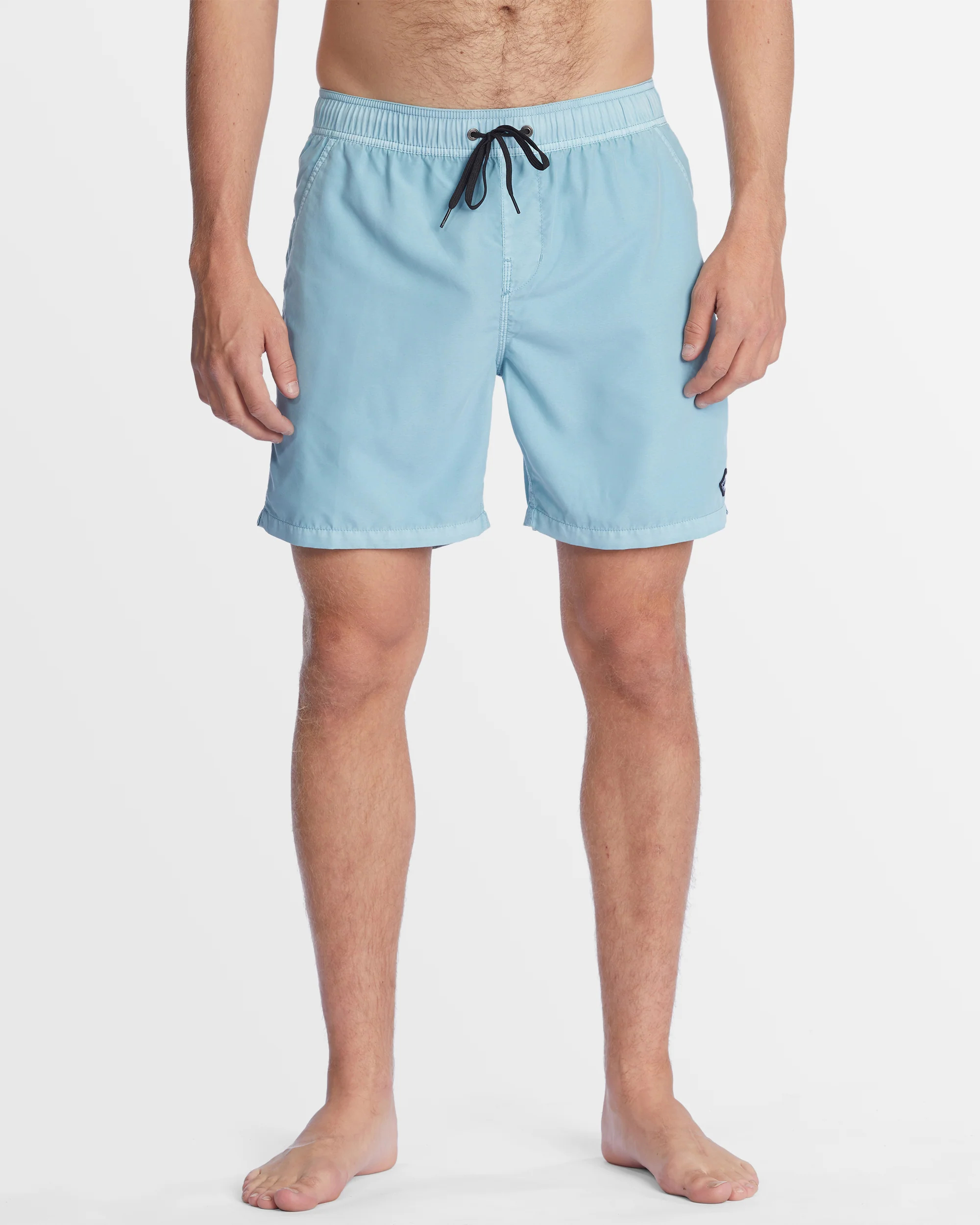 Mens All Day Overdye Layback 17" Boardshorts