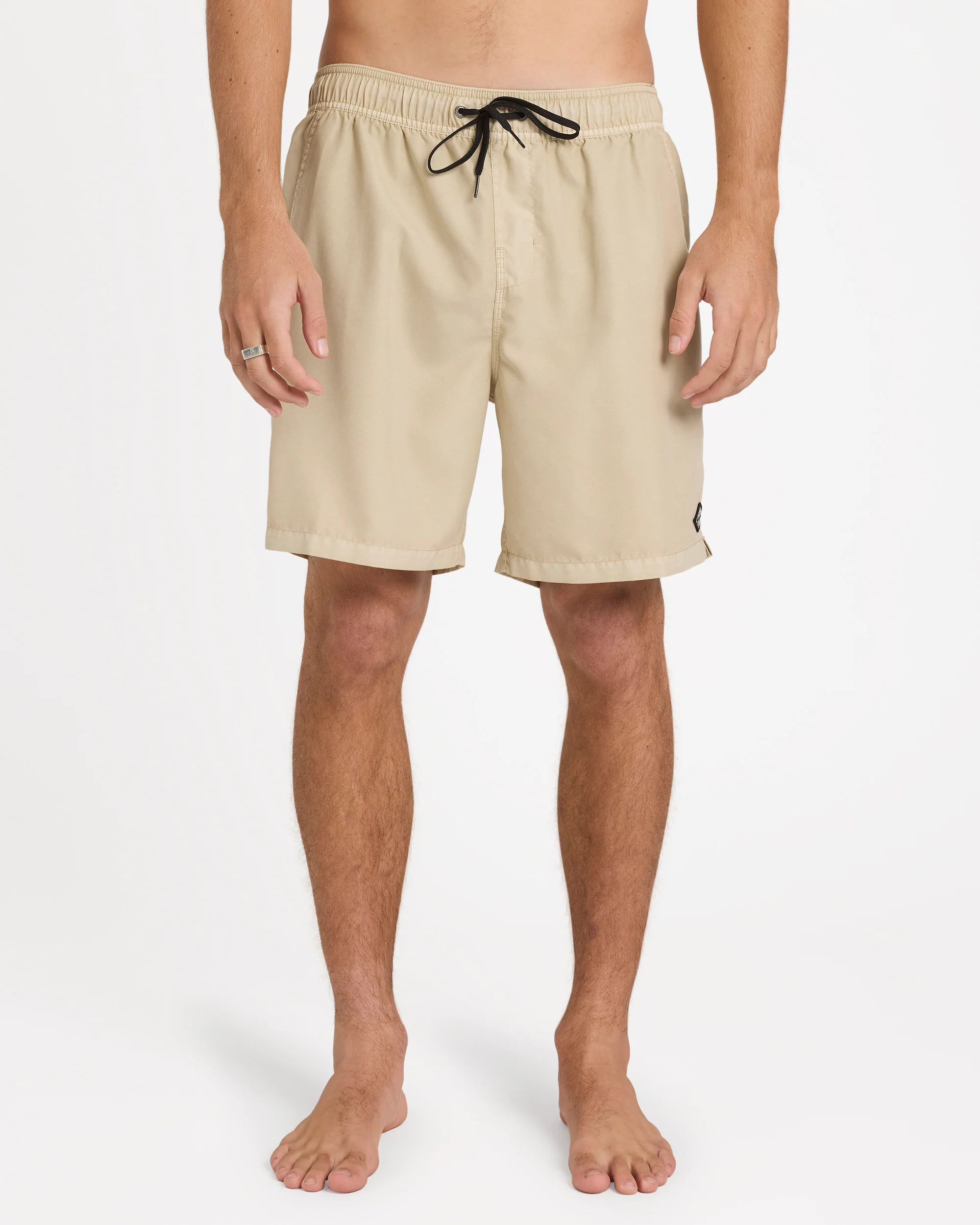 Mens All Day Overdye Layback 17" Boardshorts