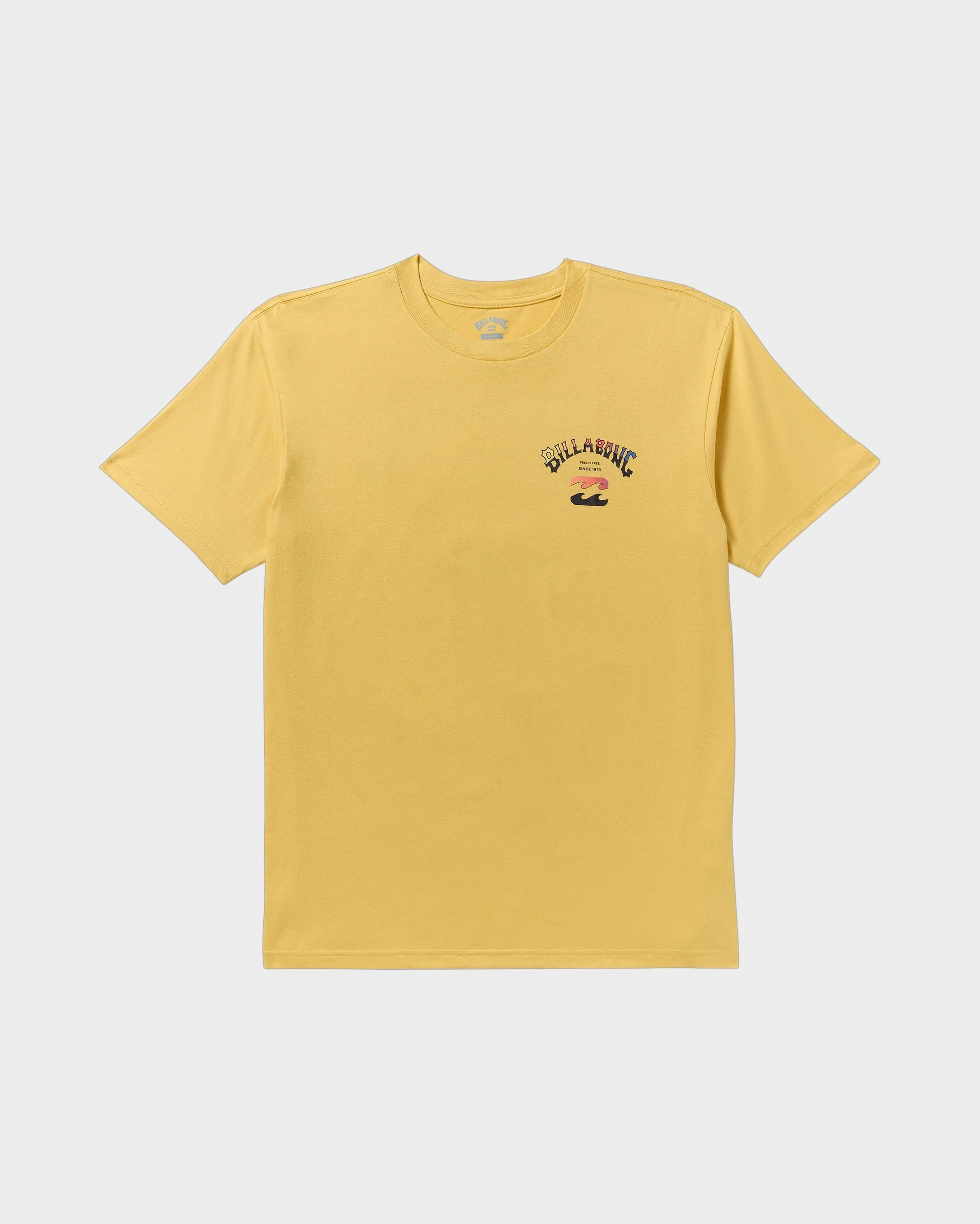 Mens Arch Fade T-Shirt - Image 6