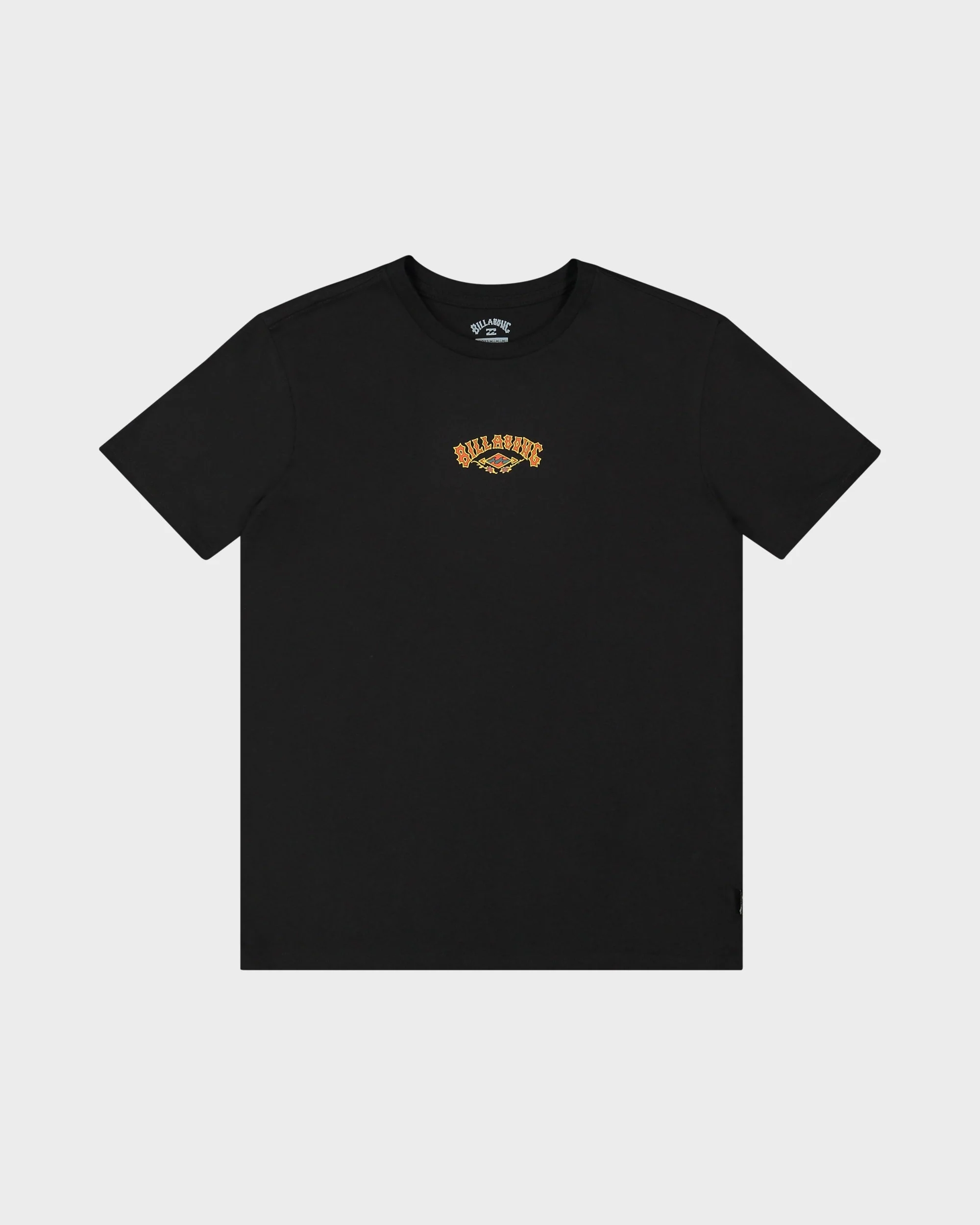 Boys 8-16 Rose Arch T-Shirt - Image 5