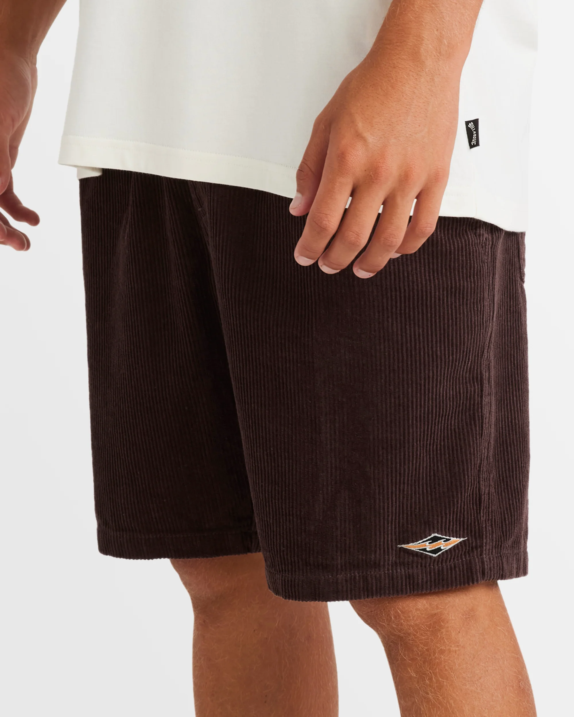Mens Larry Corduroy 18" Walkshorts - Image 5
